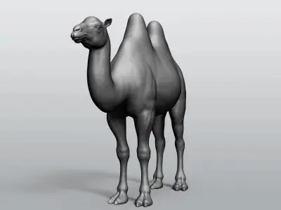 Domestic animal collection 5 animals 3D model