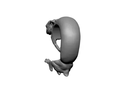 modern art ring hare rubbit bunny 3D print model