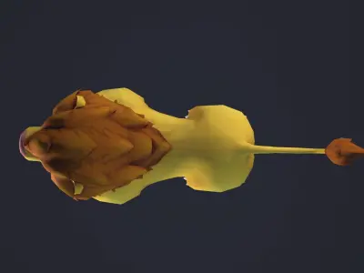 Cartoon Lion - rigged and skinned - Low-poly 3D model