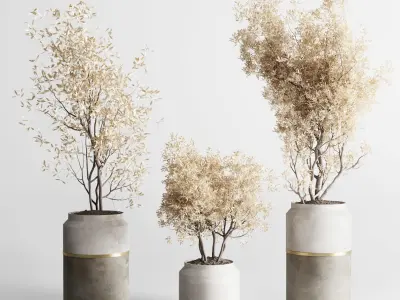 Indoor plant autumn set 304 concrete vase plant tree bush pot Low-poly 3D model