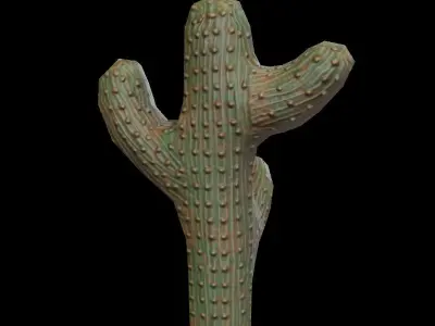 Castus model for unity engine Low-poly 3D model