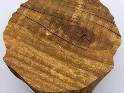 Tree Stump 3D Model 3D model