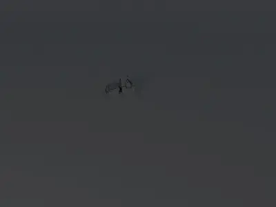 Lamba car wash and slothful house Free 3D model