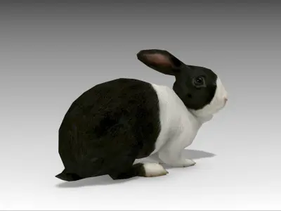 Rabbit bunny Low-poly 3D model