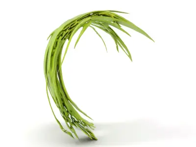 Curved Grass Blades model pack Low-poly 3D model