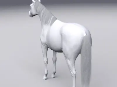 Horse - 3D model