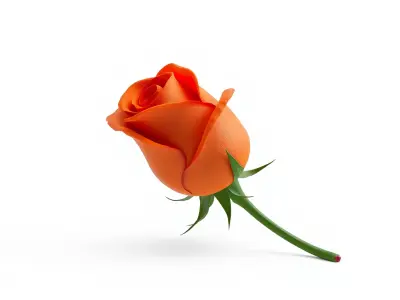 Rosa Orange Rose with Red Tips model pack Low-poly 3D model