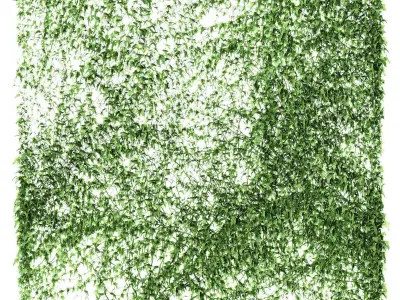 Set of 4 ivy models for walls or fence 3D model