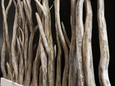 Planter wall branch crooked old n1 3D model