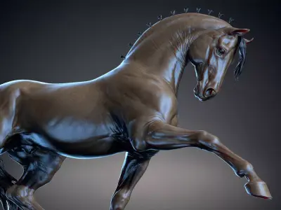 Andalusian horse  -   3D Sculpting 3D print model