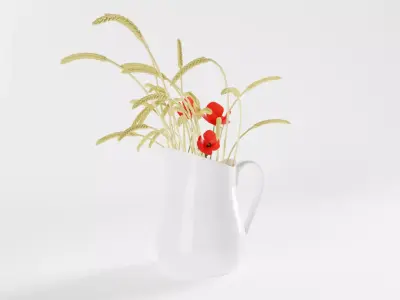 Pitcher with Ears and Poppies 3D model