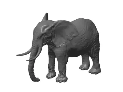 elephant 3D model shop