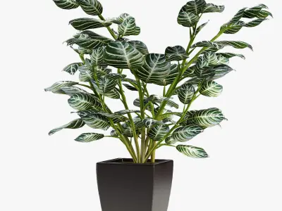 Realistic Plant Garden 3D model purchase