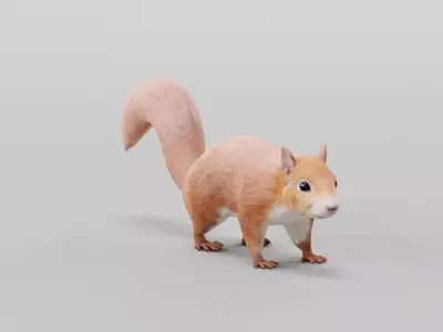 Squirrel Lowpoly 3D model