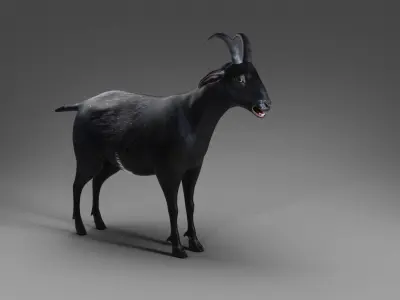Goat 05 Rigged in Blender  Low-poly 3D model
