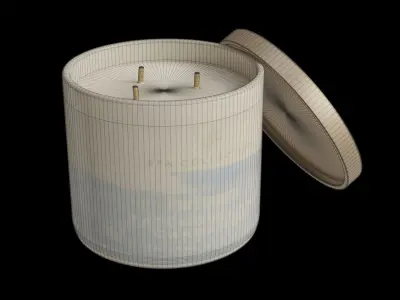 Cardamom Filled 3-Wick Candle Low-poly 3D model