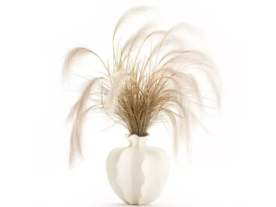 Bouquet dried flowers Cortaderia pampas branches vase decor 3D model