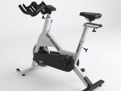 Home Spinner 3D model