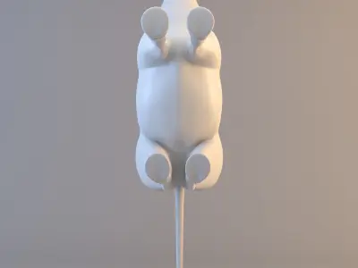 Cartoon Zebra  3D model