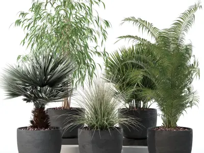 20 Photorealistic Flowers for Interiors - set 125 130 135 140 3D Model Collection