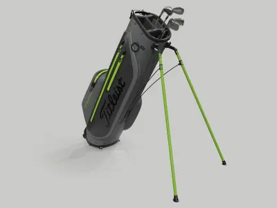 Titleist Gray-Green StaDry Golf Bag Plus 3D model