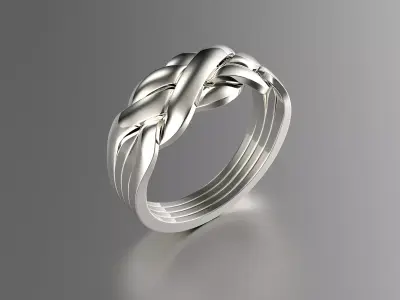 Jewelry Fashion Gold Puzzle Ring 0071 Set of Sizes Stl 3dm Fbx 3D print model