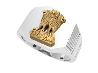 Indian Ashoka Ring 3D print model