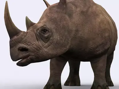 3DRT - Rhinoceros Low-poly 3D model