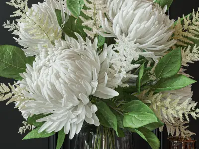 Flower Set 050 white Chrysanthemum Astilbe 3D model