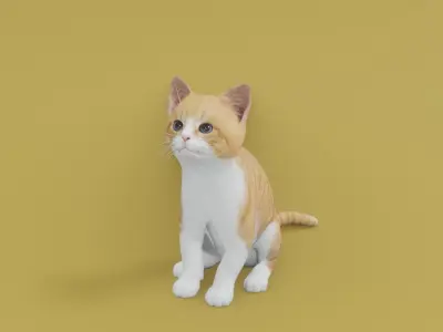 Kitten animated 3D 3D model