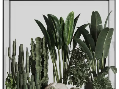 Plants behind glass 3D model