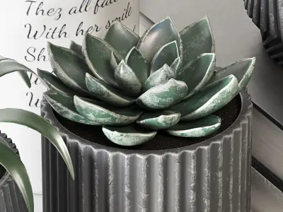 Decorative Cactus and plants set 01 3D model