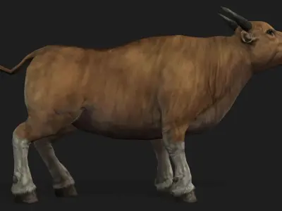 Realistic Cow Bull with Rigged body and Animation Low-poly 3D model