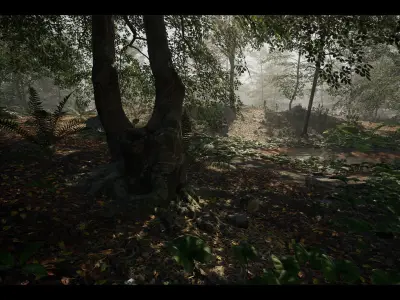 MAE Beech Forest - UE4 and UE5 Low-poly 3D model