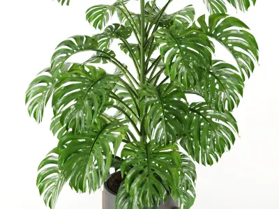 Plants set 01 3D model