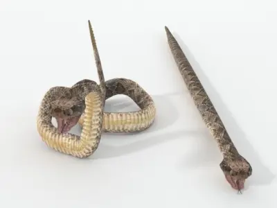 Rattlesnake knife and snake Low-poly 3D model