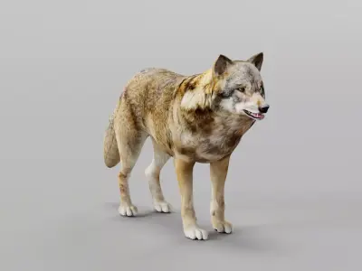 Wolf Game Ready Low-poly 3D model