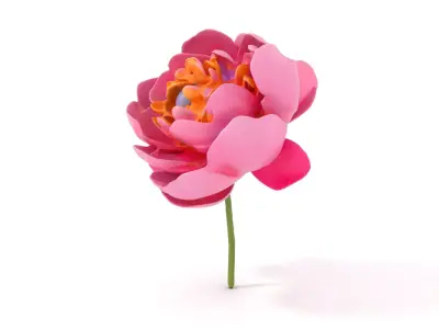 Elegant Pink Peony model pack Low-poly 3D model