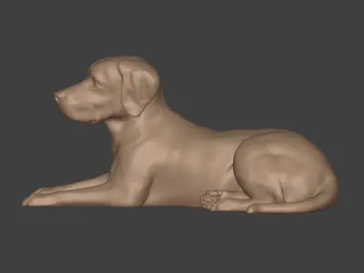 Dog - Labrador Statue  -- Ready for 3D Printing 3D print model