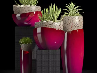 PLANTS SET vases with succulents 3D model