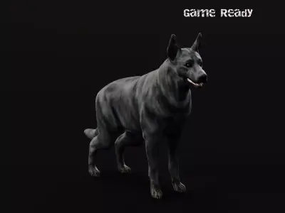 Black German Shepherd Dog Breed 3D model