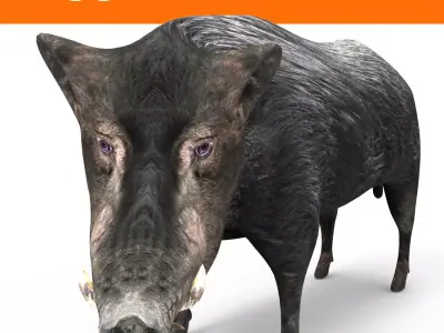 Black Wild Boar Rigged and Animated 3D Models Low-poly 3D model