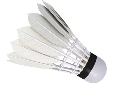 Badminton Racket and Shuttlecock 3D model