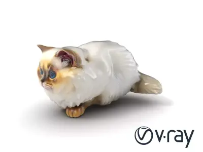 VelvetPaw Persian Cat model pack Low-poly 3D model