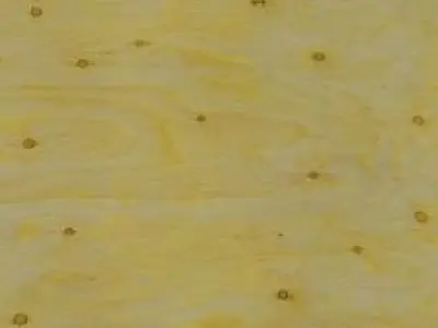 55m2 small FLAT    3D model