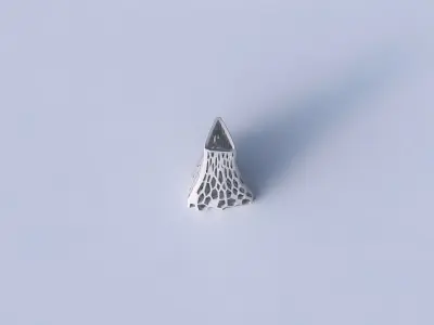 Vase grounded tilted triangle with faceted organic lattice 3D print model