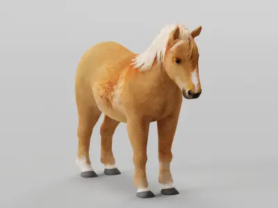 Pony Small Horse Animal Low-poly 3D model