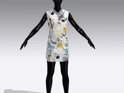 Woman Cloth Dress Low-poly 3D model