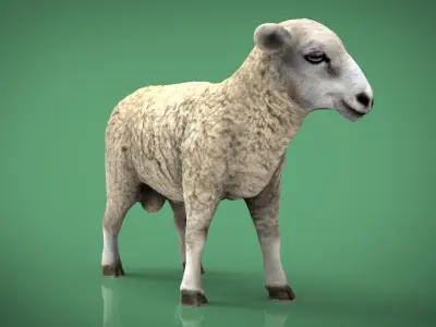 SHEEP Low-poly 3D model