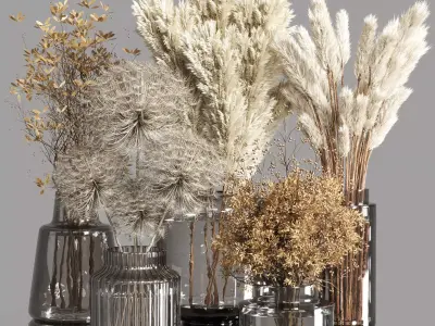 Collection Dry Plants Bouquet Indoor 02 3D model